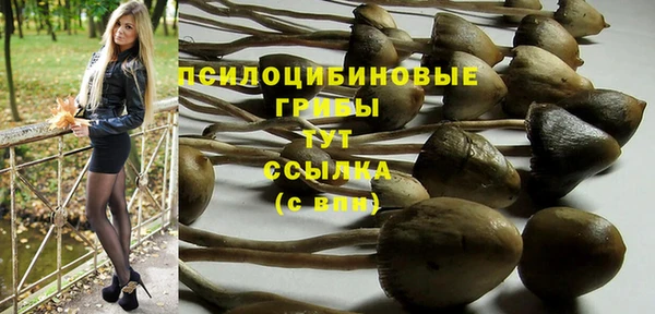 кокс Армянск