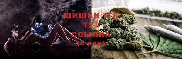бошки Аркадак