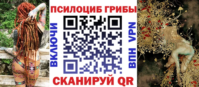 наркота Тосно mega как войти Галлюциногенные грибы прущие грибы